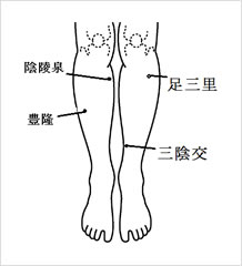 陰陵泉、豊隆、足三里、三陰交