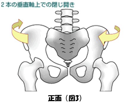 骨盤のゆがみ