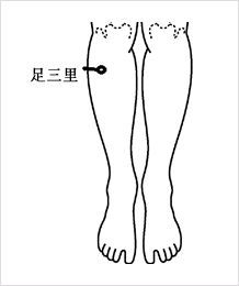 足三里（脛にあるツボ）